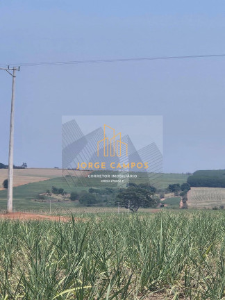 Imagem Fazenda à Venda, 70 m² em área Rural 2 - Monte Aprazível Imagem Fazenda à Venda, 70 m² em área Rural 2 - Monte Aprazível
