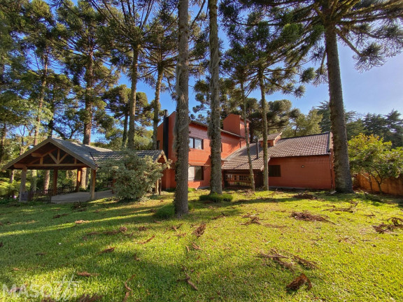 Imagem Casa com 3 Quartos à Venda, 35.747 m² em Bosque Sinoserra - Canela Imagem Casa com 3 Quartos à Venda, 35.747 m² em Bosque Sinoserra - Canela