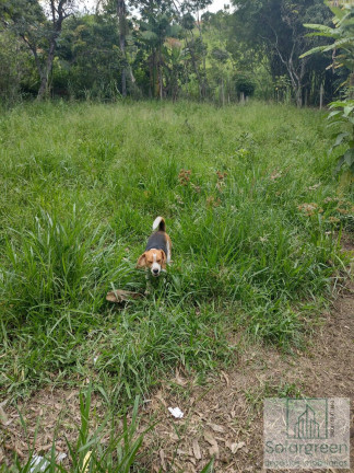 Imagem Terreno à Venda, 2.335 m² em Jardim Estância Brasil - Atibaia Imagem Terreno à Venda, 2.335 m² em Jardim Estância Brasil - Atibaia