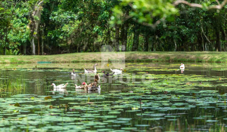 Imagem Terreno à Venda, em Rio Do Meio - Camboriu Imagem Terreno à Venda, em Rio Do Meio - Camboriu