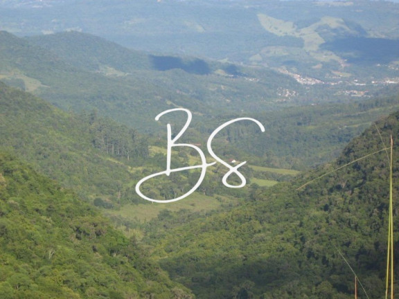 Terreno à Venda, 70.000 m² em Estrada Serra Grande - Gramado