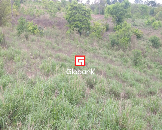 Imagem Imóvel à Venda, em Fazenda Gameleira - Montes Claros Imagem Imóvel à Venda, em Fazenda Gameleira - Montes Claros