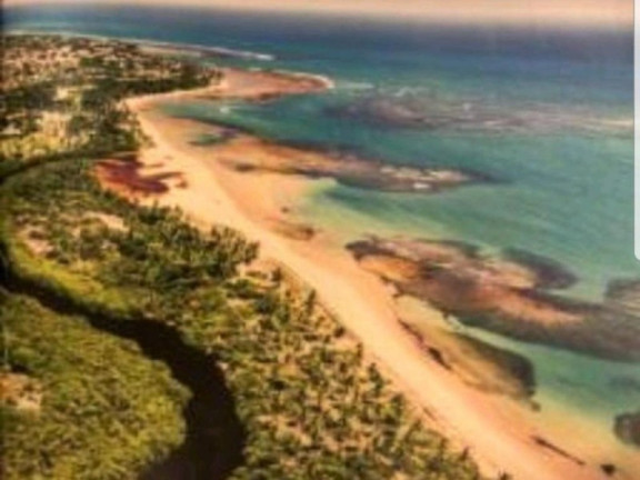 Imagem Terreno à Venda, 700 m² em Praia Do Forte - Mata De São João Imagem Terreno à Venda, 700 m² em Praia Do Forte - Mata De São João