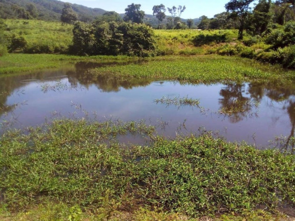 Imagem Fazenda à Venda, 200 m² em Centro - Acorizal Imagem Fazenda à Venda, 200 m² em Centro - Acorizal