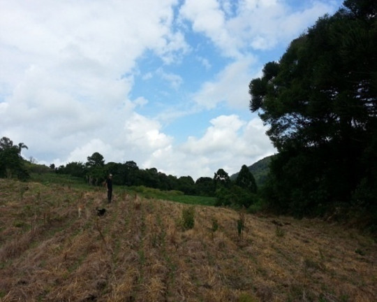 Imagem Terreno à Venda, 30 m² em Linha Bonita - Gramado Imagem Terreno à Venda, 30 m² em Linha Bonita - Gramado