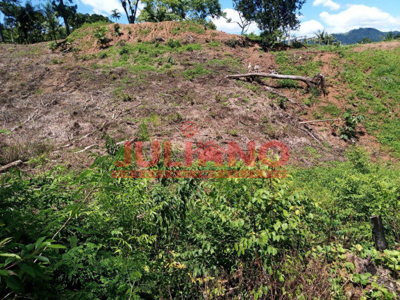 Imagem Chácara à Venda, 13.000 m² em Rio Natal - São Bento Do Sul Imagem Chácara à Venda, 13.000 m² em Rio Natal - São Bento Do Sul
