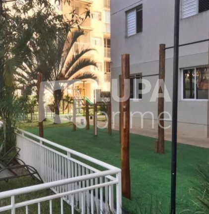 Imagem Apartamento com 3 Quartos à Venda, 62 m² em Vila Guilherme - São Paulo Imagem Apartamento com 3 Quartos à Venda, 62 m² em Vila Guilherme - São Paulo