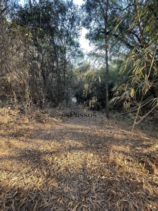 Imagem Chácara à Venda, 20.000 m² em Valentim - Florestal Imagem Chácara à Venda, 20.000 m² em Valentim - Florestal