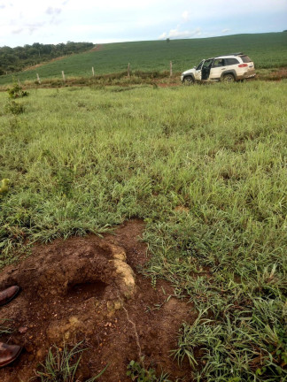 Imagem Fazenda à Venda, em Zona Rural - Caiapônia Imagem Fazenda à Venda, em Zona Rural - Caiapônia