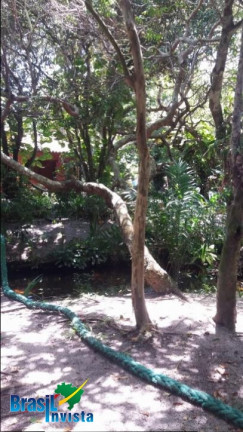 Imagem Terreno à Venda, 4.582 m² em Br367 - Santa Cruz Cabrália Imagem Terreno à Venda, 4.582 m² em Br367 - Santa Cruz Cabrália