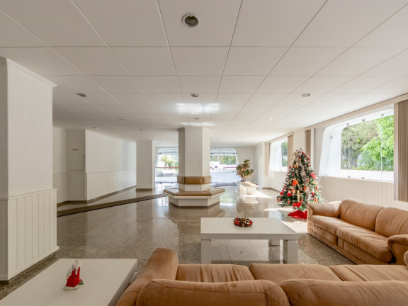 Imagem Apartamento com 3 Quartos à Venda, 96 m² em Tucuruvi Jardim Floresta - São Paulo