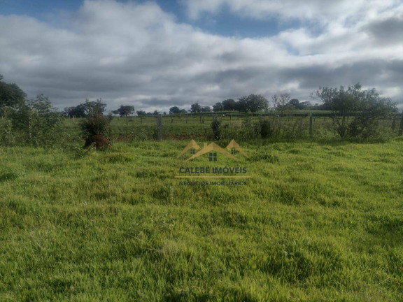 Imagem Imóvel à Venda, 3.000 m² em Capela Velha - Guareí