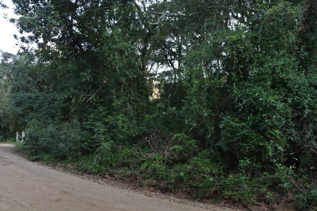 Imagem Terreno à Venda, 1.350 m² em águas Claras - Viamão Imagem Terreno à Venda, 1.350 m² em águas Claras - Viamão