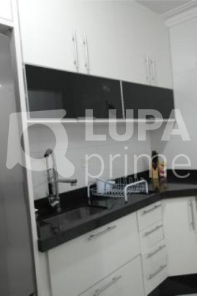 Imagem Apartamento com 3 Quartos à Venda, 75 m² em Vila Mazzei - São Paulo Imagem Apartamento com 3 Quartos à Venda, 75 m² em Vila Mazzei - São Paulo