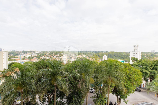 Imagem Apartamento com 2 Quartos à Venda, 63 m² em Vila Alexandria - São Paulo Imagem Apartamento com 2 Quartos à Venda, 63 m² em Vila Alexandria - São Paulo