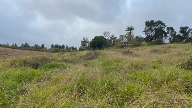 Imagem Terreno à Venda, 27.000 m² em Campo Largo - Jarinu Imagem Terreno à Venda, 27.000 m² em Campo Largo - Jarinu