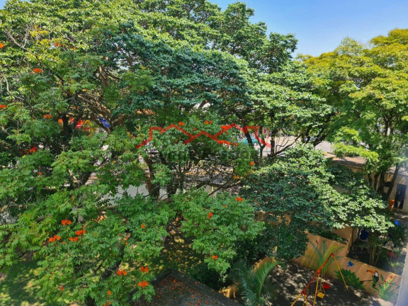 Imagem Apartamento com 3 Quartos à Venda, 75 m² em Socorro - São Paulo