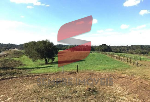 Terreno à Venda, 20.000 m² em Roseira - São José Dos Pinhais
