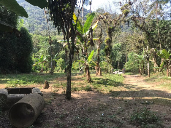 Imagem Terreno à Venda, 32 m² em Horto Florestal - Ubatuba