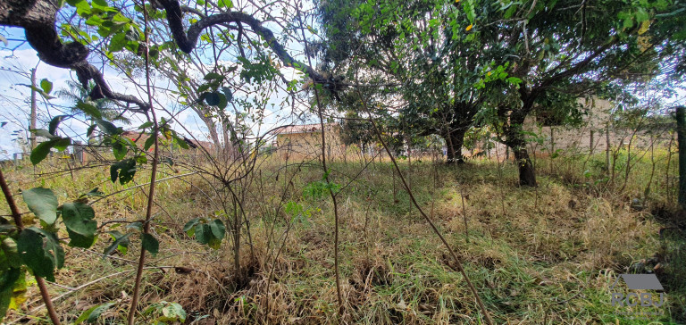 Imagem Terreno à Venda, 438 m² em Fernão Dias - Esmeraldas Imagem Terreno à Venda, 438 m² em Fernão Dias - Esmeraldas