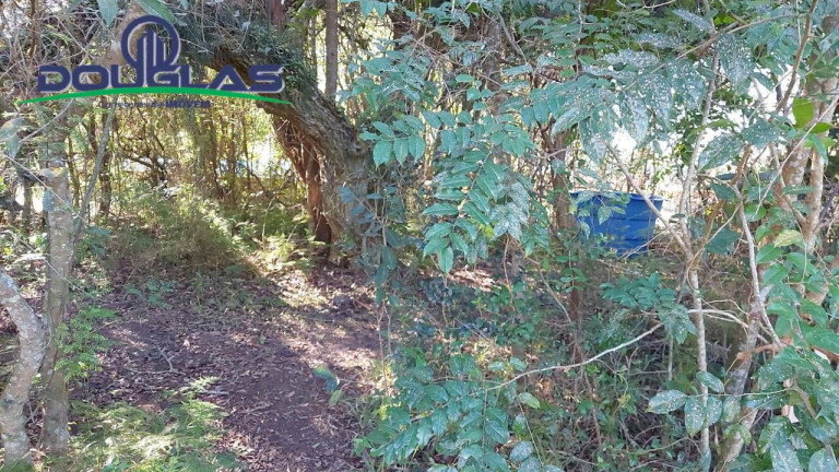 Imagem Terreno à Venda, 1.398 m² em Viamão Imagem Terreno à Venda, 1.398 m² em Viamão