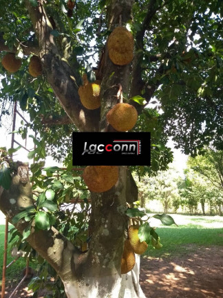Imagem Chácara com 3 Quartos à Venda, 500 m² em Centro - Boituva Imagem Chácara com 3 Quartos à Venda, 500 m² em Centro - Boituva