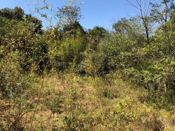 Imagem Terreno à Venda, 5.017 m² em Chácara Das Candeias - Carapicuíba Imagem Terreno à Venda, 5.017 m² em Chácara Das Candeias - Carapicuíba