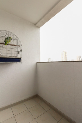 Imagem Apartamento com 2 Quartos à Venda, 50 m² em Maranhão - São Paulo Imagem Apartamento com 2 Quartos à Venda, 50 m² em Maranhão - São Paulo