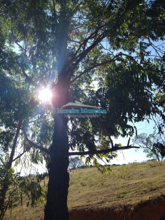 Imagem Imóvel à Venda, 9.000 m² em Zona Rural - Borda Da Mata Imagem Imóvel à Venda, 9.000 m² em Zona Rural - Borda Da Mata