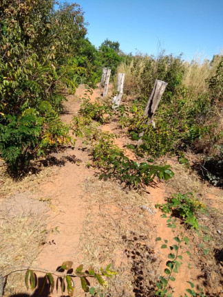 Imagem Imóvel à Venda, 343 m² em Area Rural São Gonçalo Do Gurguéia - São Gonçalo Do Gurguéia Imagem Imóvel à Venda, 343 m² em Area Rural São Gonçalo Do Gurguéia - São Gonçalo Do Gurguéia