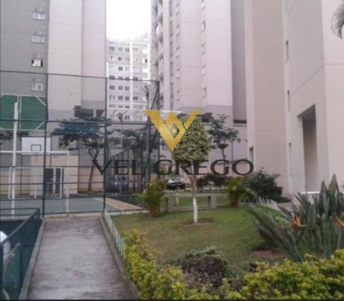 Imagem Apartamento com 3 Quartos à Venda, 65 m² em Planalto - São Bernardo Do Campo