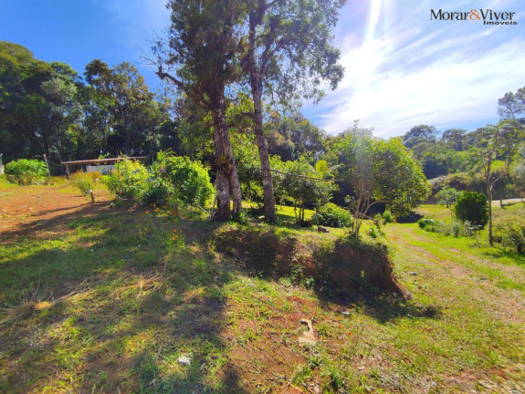 Imagem Chácara com 2 Quartos à Venda, 7.724 m² em Loteamento Chácara Chantecler - Piraquara Imagem Chácara com 2 Quartos à Venda, 7.724 m² em Loteamento Chácara Chantecler - Piraquara