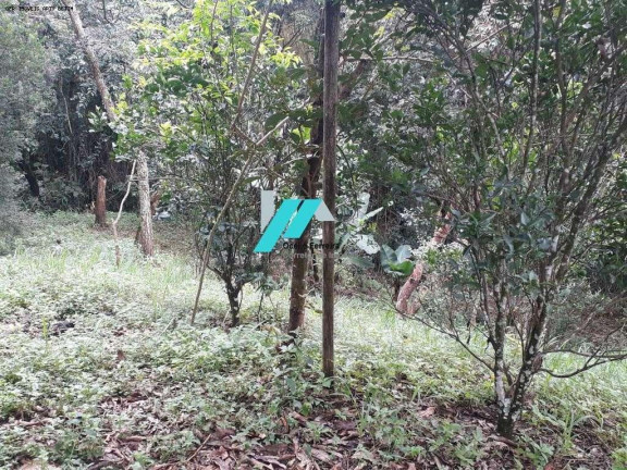 Imagem Fazenda à Venda, 7.000 m² em Caio Martins - Esmeraldas