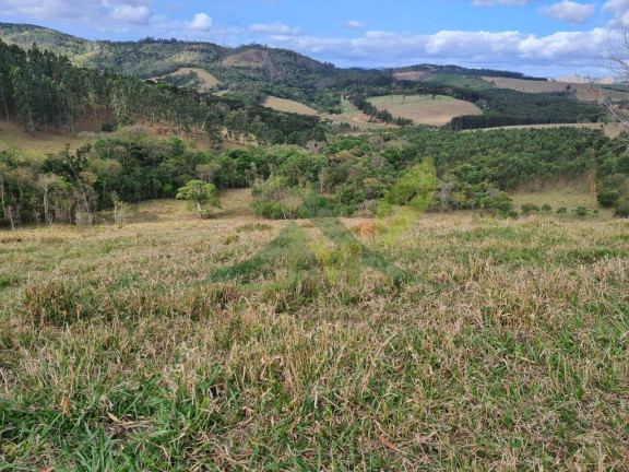 Imagem Chácara com 2 Quartos à Venda, 363.000 m² em Piracaia - Piracaia Imagem Chácara com 2 Quartos à Venda, 363.000 m² em Piracaia - Piracaia