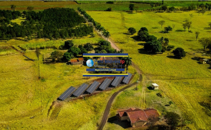 Imagem Imóvel com 13 Quartos à Venda, 274.000 m² em Jardim América - Ribeirão Preto Imagem Imóvel com 13 Quartos à Venda, 274.000 m² em Jardim América - Ribeirão Preto