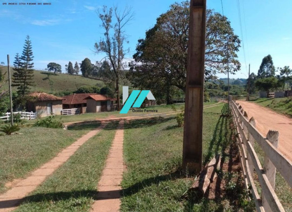Imagem Fazenda à Venda, 200 m² em Zona Rural - Piedade Dos Gerais Imagem Fazenda à Venda, 200 m² em Zona Rural - Piedade Dos Gerais
