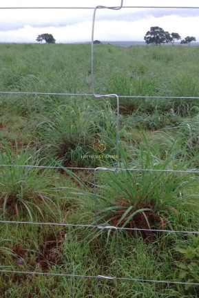 Imagem Imóvel com 3 Quartos à Venda, 83.400 m² em Centro - São Félix Do Araguaia Imagem Imóvel com 3 Quartos à Venda, 83.400 m² em Centro - São Félix Do Araguaia