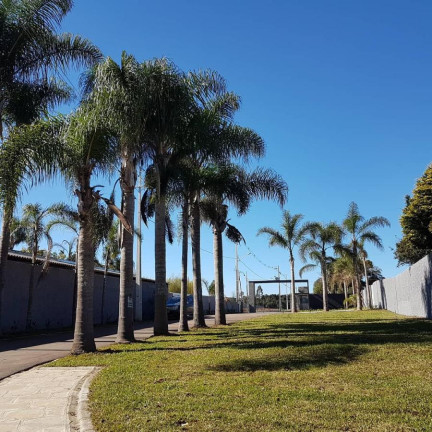 Imagem Casa com 2 Quartos à Venda, 81 m² em Campo Largo Da Roseira - São José Dos Pinhais