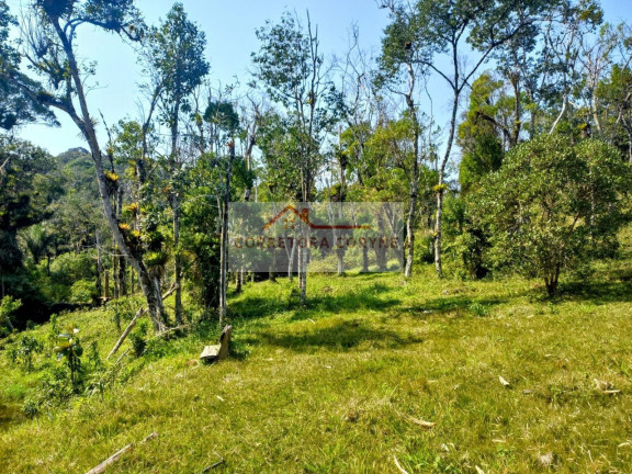 Imagem Terreno à Venda, 24.000 m² em Palmeiras - Juquitiba Imagem Terreno à Venda, 24.000 m² em Palmeiras - Juquitiba