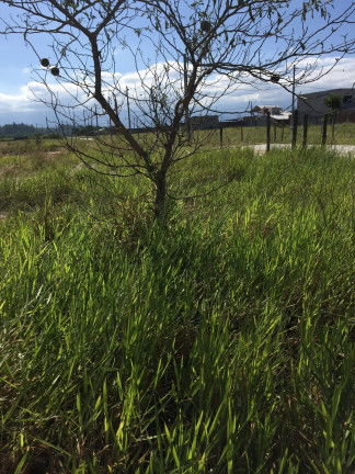Terreno à Venda, 225 m² em Moreira César - Pindamonhangaba