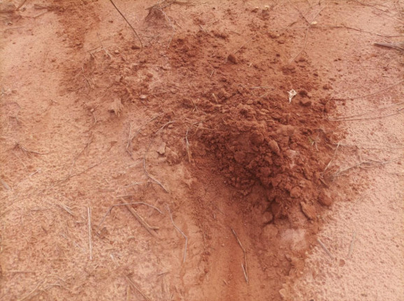 Imagem Fazenda à Venda, 97 m² em Rural - Piracicaba Imagem Fazenda à Venda, 97 m² em Rural - Piracicaba