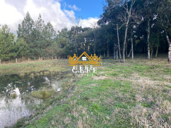 Imagem Imóvel à Venda, 20 m² em Serra Grande - Igrejinha Imagem Imóvel à Venda, 20 m² em Serra Grande - Igrejinha