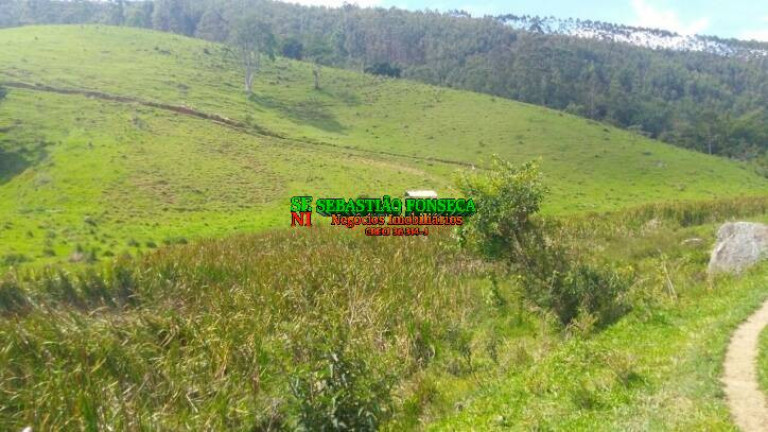 Fazenda à Venda, 5 m² em Centro - Paraibuna