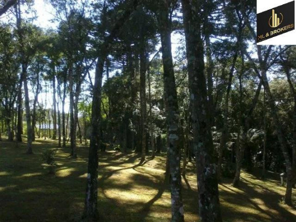 Imagem Casa com 3 Quartos à Venda, 220 m² em Bom Pastor - Campo Magro Imagem Casa com 3 Quartos à Venda, 220 m² em Bom Pastor - Campo Magro