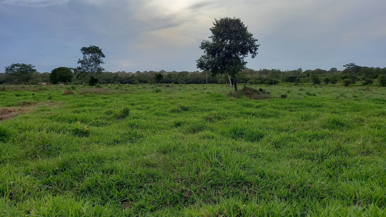 Imóvel à Venda,  em Redenção/pa - Redenção