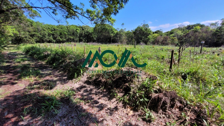 Imovel