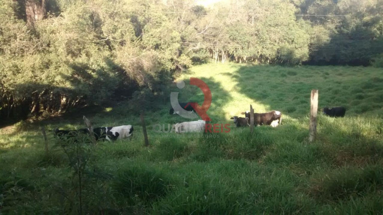 Imagem Imóvel com 6 Quartos à Venda, 24.000 m² em Pedra Bela - Bragança Paulista