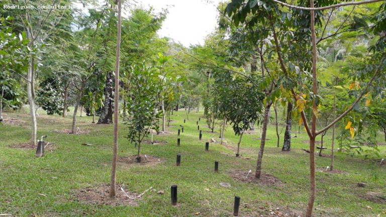 Imagem Chácara à Venda, 190 m² em Região Serrana - Macaé Imagem Chácara à Venda, 190 m² em Região Serrana - Macaé