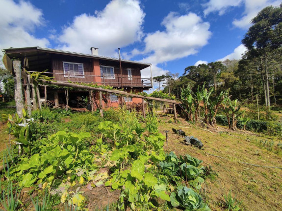 Imagem Chácara à Venda, 1.200 m² em Zona Rural - Tijucas Do Sul Imagem Chácara à Venda, 1.200 m² em Zona Rural - Tijucas Do Sul