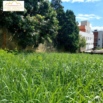 Imagem Terreno à Venda, 384 m² em Vila Paris - Belo Horizonte